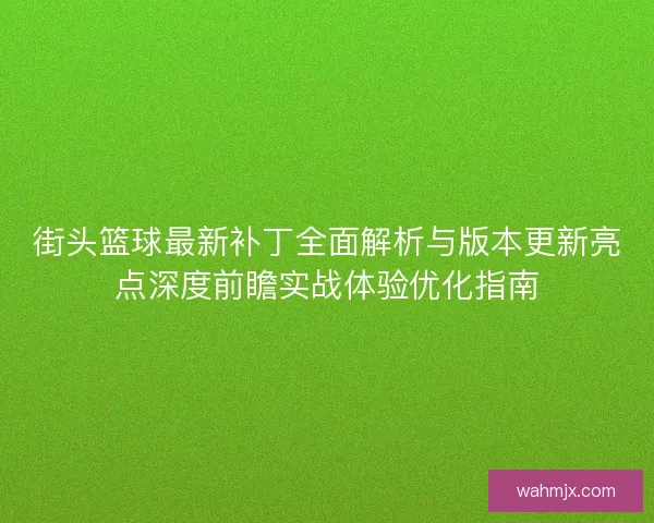 街头篮球最新补丁全面解析与版本更新亮点深度前瞻实战体验优化指南