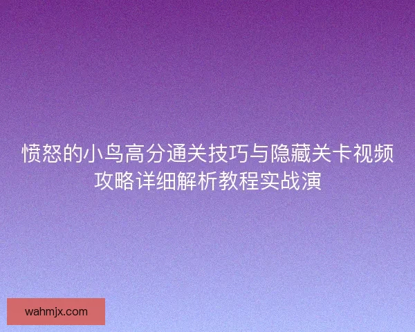愤怒的小鸟高分通关技巧与隐藏关卡视频攻略详细解析教程实战演