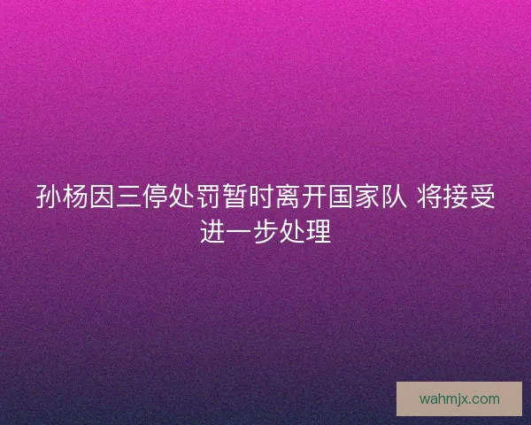 孙杨因三停处罚暂时离开国家队 将接受进一步处理