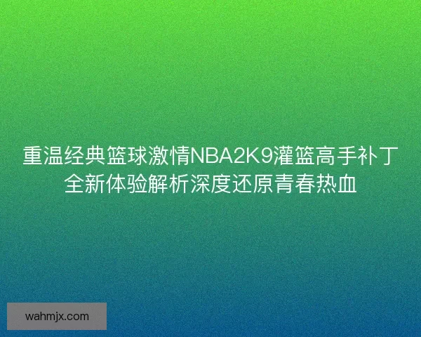 重温经典篮球激情NBA2K9灌篮高手补丁全新体验解析深度还原青春热血